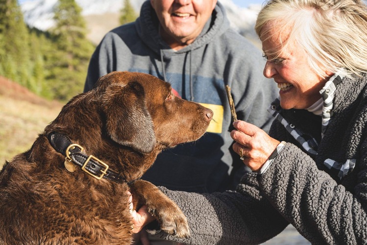 Two people smiling with brown chocolate labrador