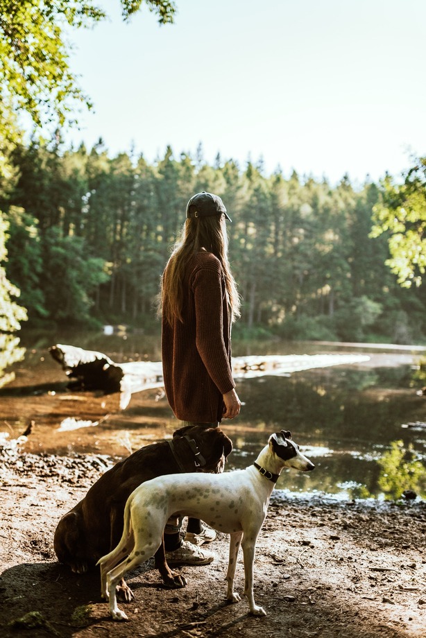 Person and two dogs on a river bank