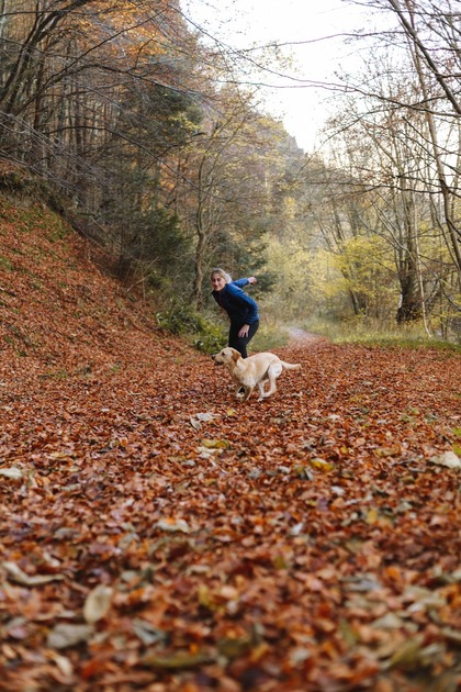 Person about to throw a ball for a golden labrador puppy